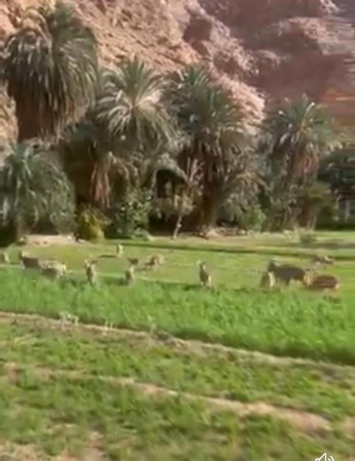 Riad Dar Ahlam Aït Baha Екстериор снимка